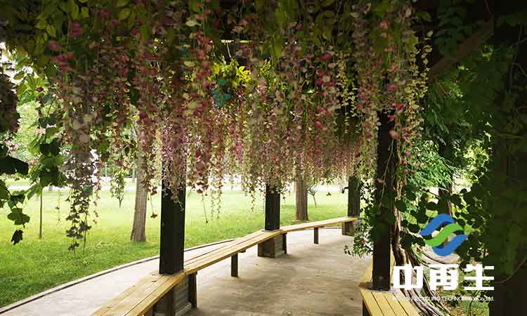 對(duì)于生活垃圾處理與“兩網(wǎng)融合”之間關(guān)系的一些認(rèn)識(shí)