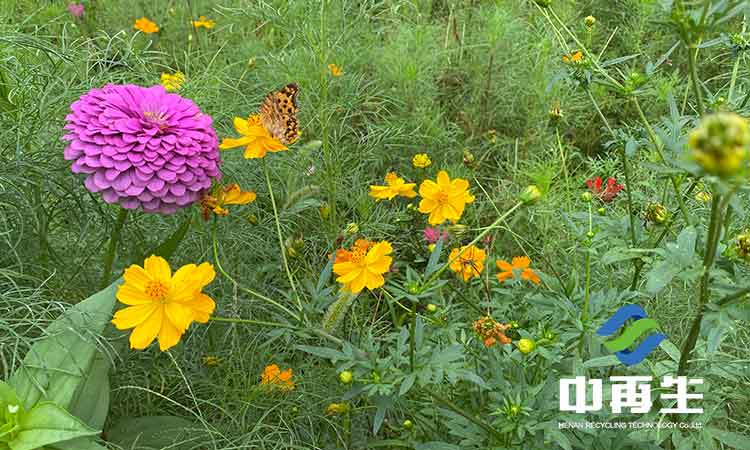 生活垃圾的經(jīng)濟循環(huán)和生活垃圾的循環(huán)經(jīng)濟不是可以等同的兩個概念